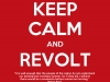 revolt-quotes-v2